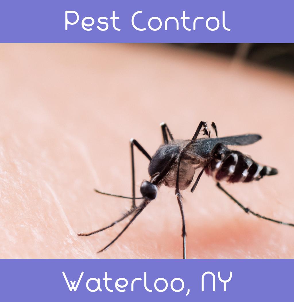 pest control in Waterloo New York