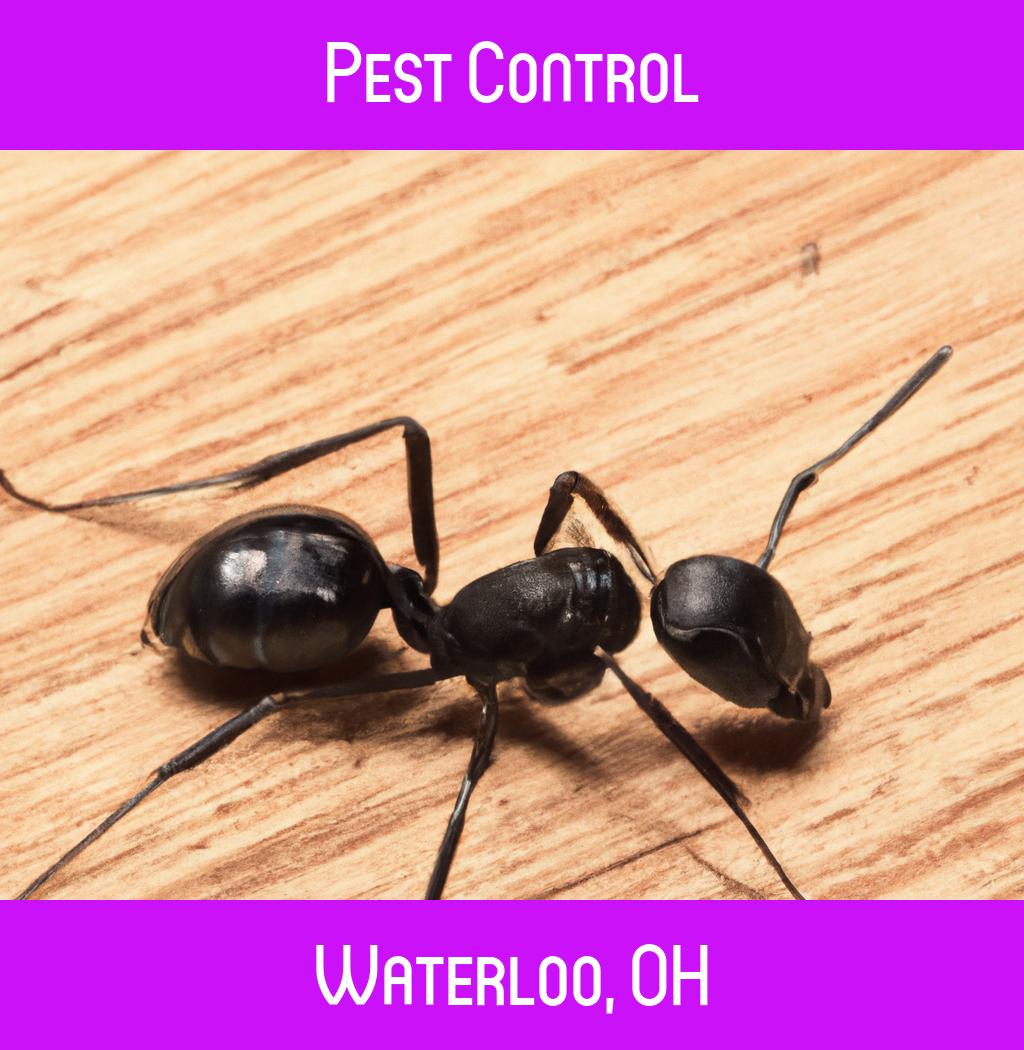 pest control in Waterloo Ohio