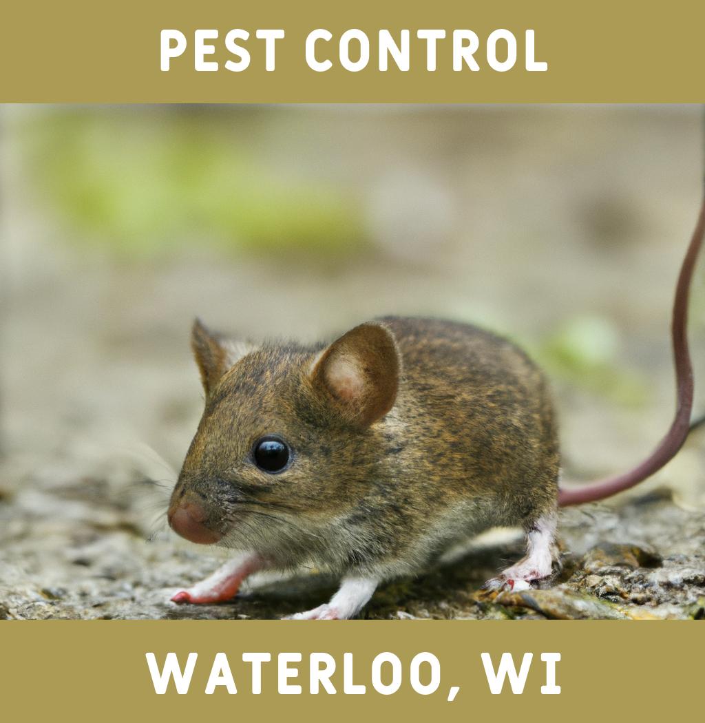 pest control in Waterloo Wisconsin