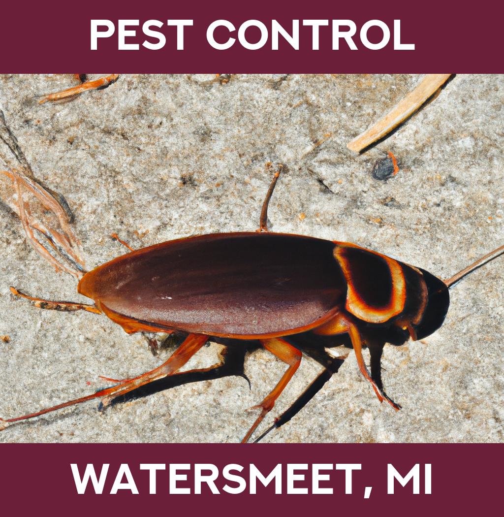 pest control in Watersmeet Michigan