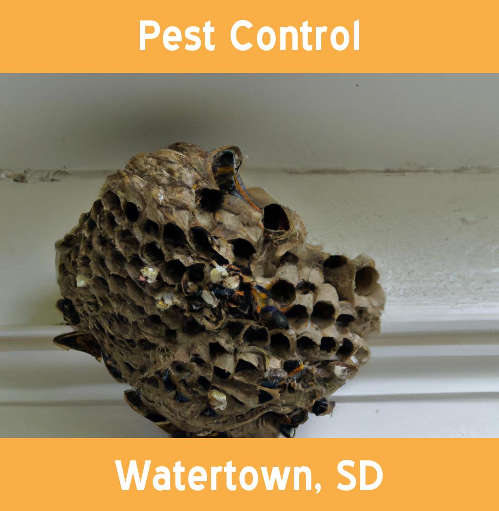 pest control in Watertown South Dakota