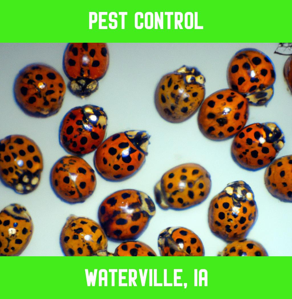 pest control in Waterville Iowa