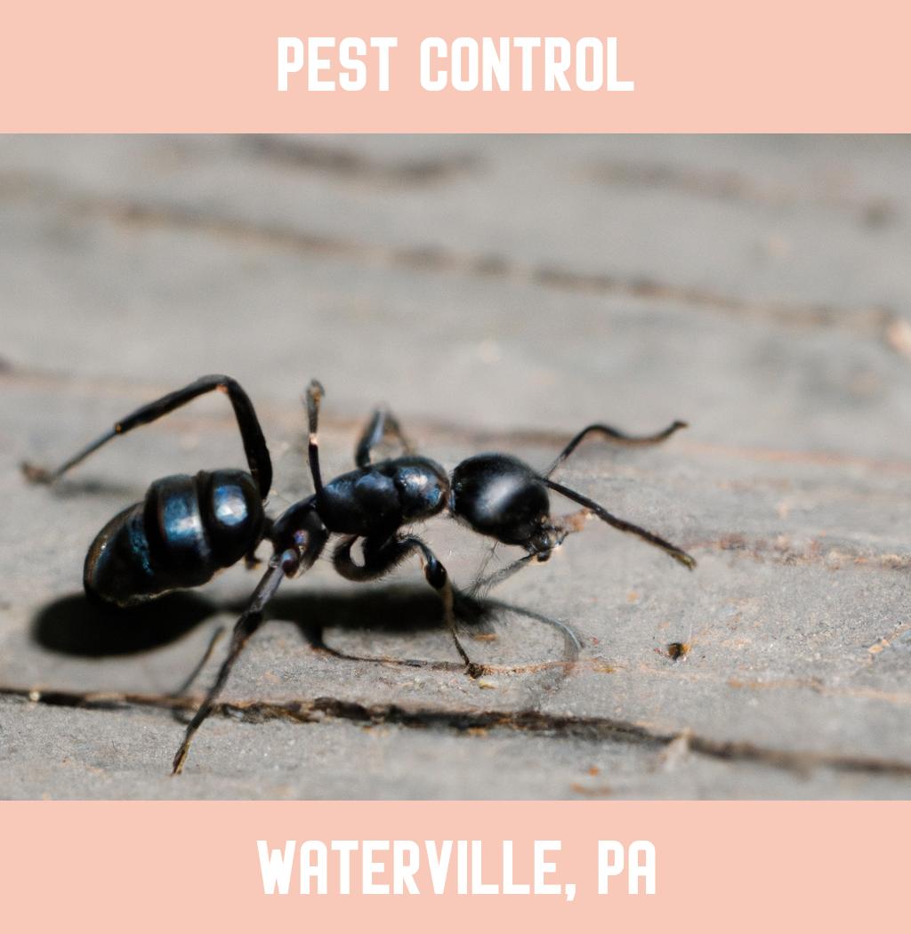 pest control in Waterville Pennsylvania