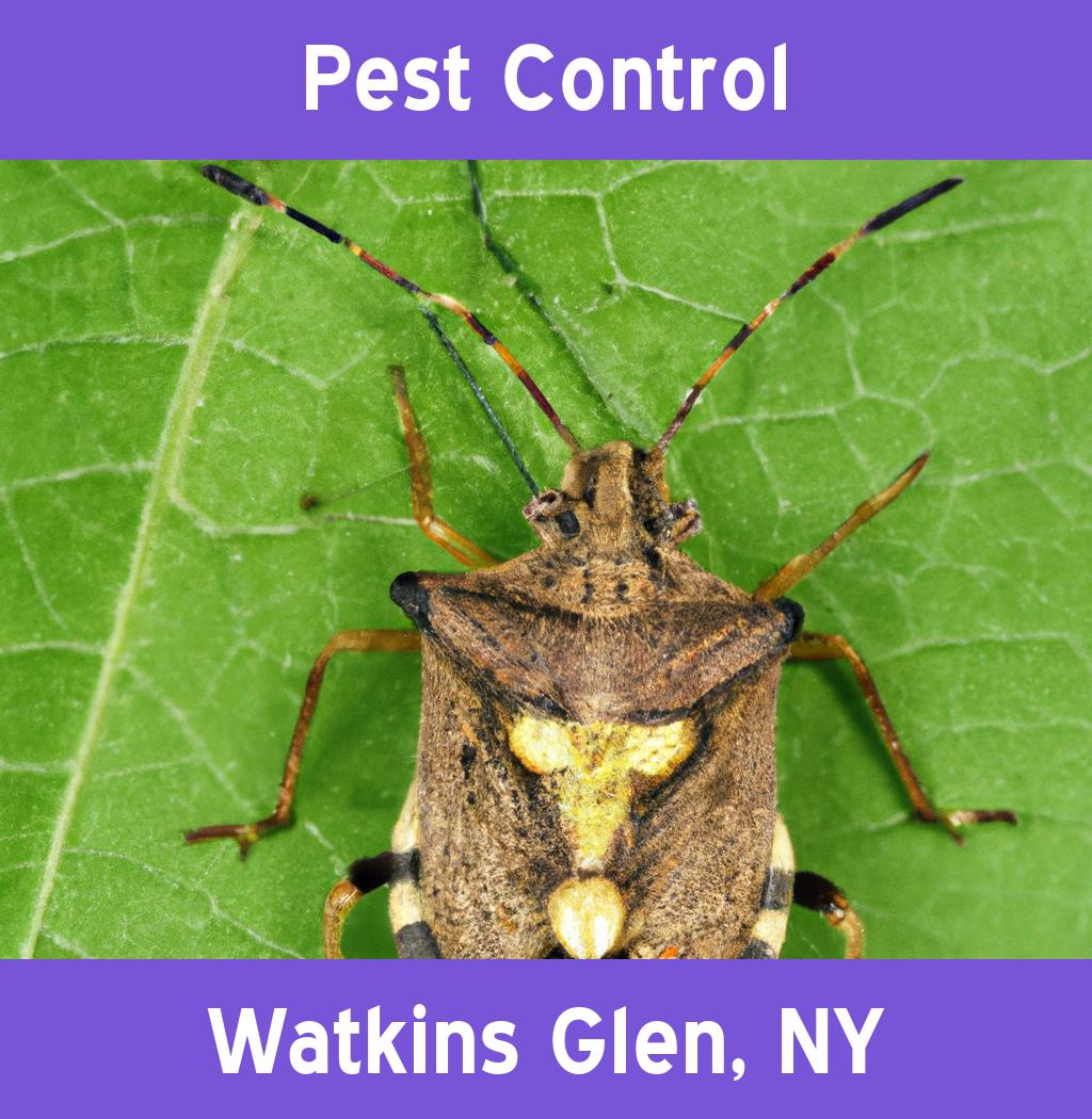 pest control in Watkins Glen New York