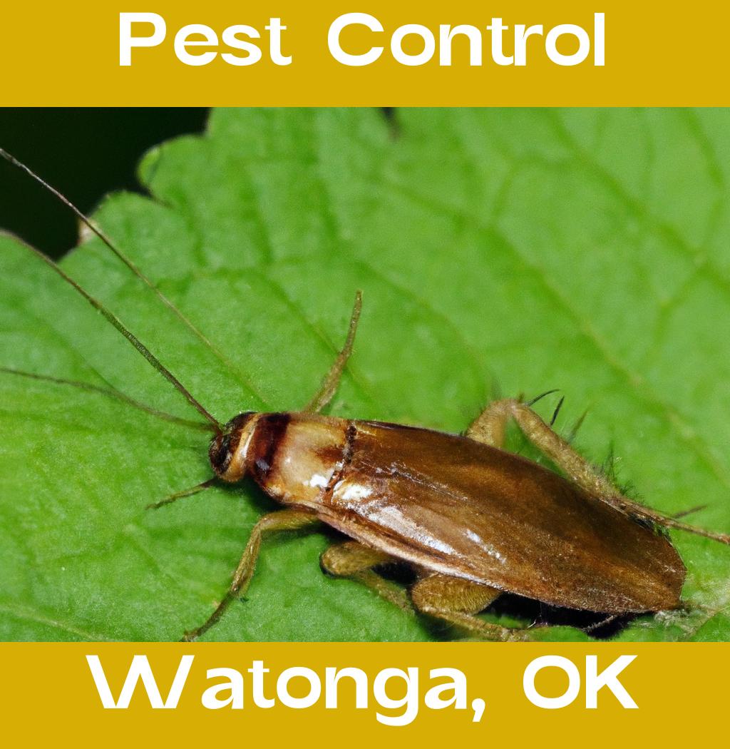 pest control in Watonga Oklahoma