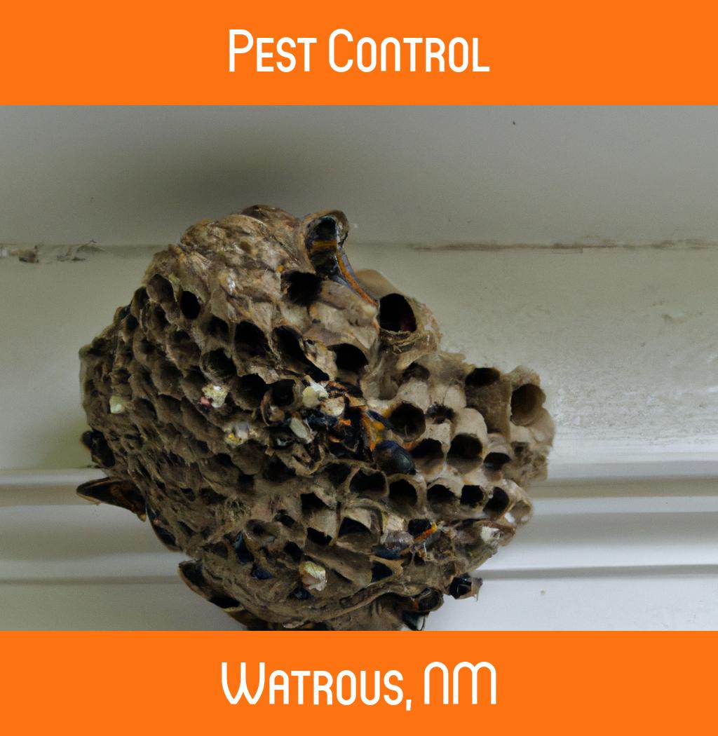 pest control in Watrous New Mexico