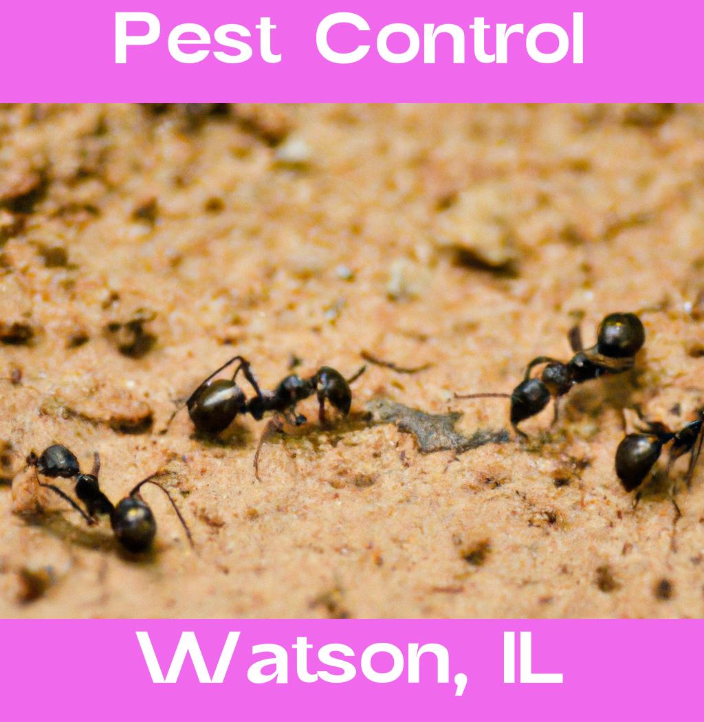 pest control in Watson Illinois