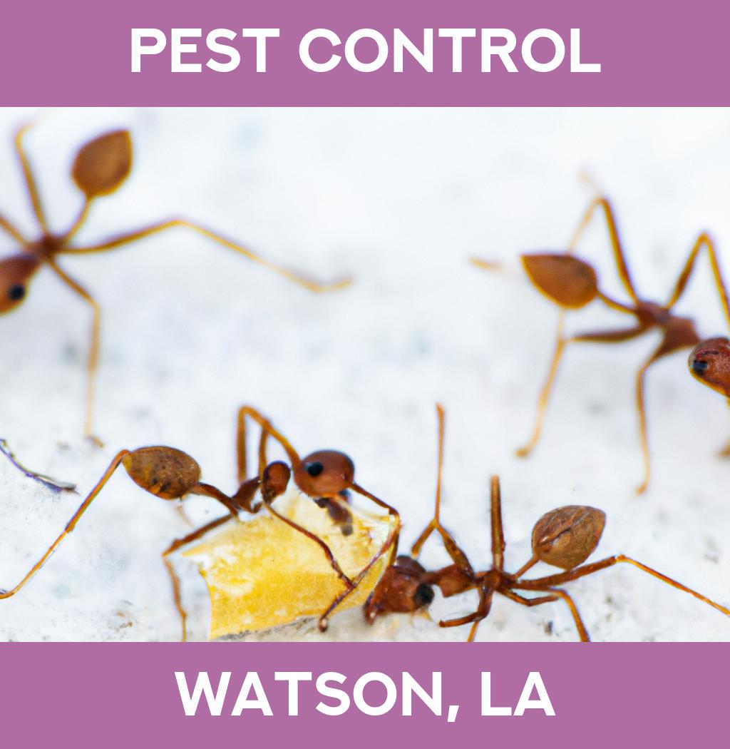 pest control in Watson Louisiana