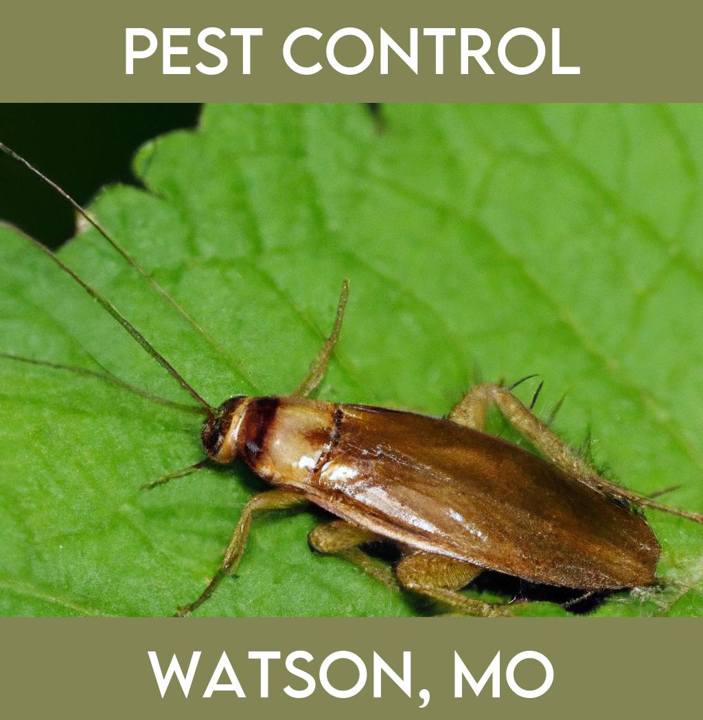 pest control in Watson Missouri