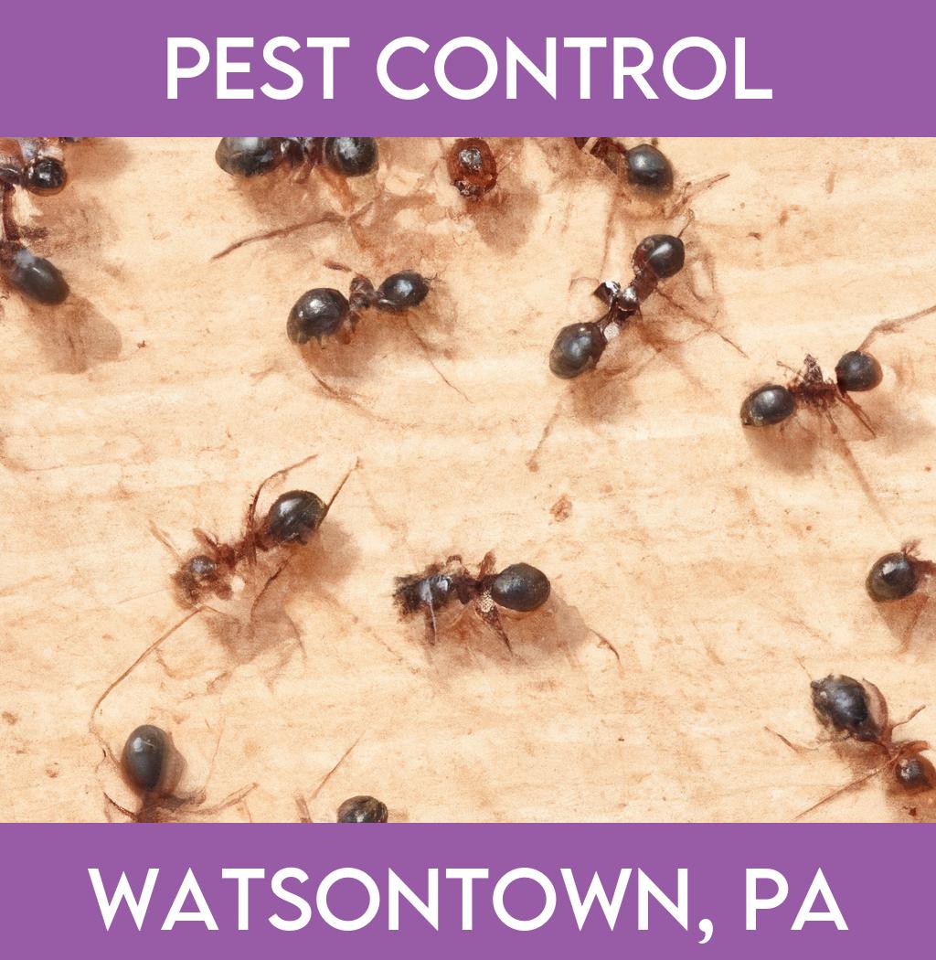 pest control in Watsontown Pennsylvania