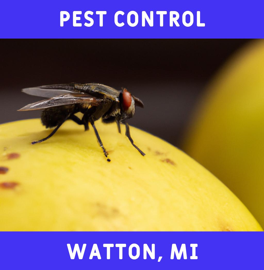 pest control in Watton Michigan