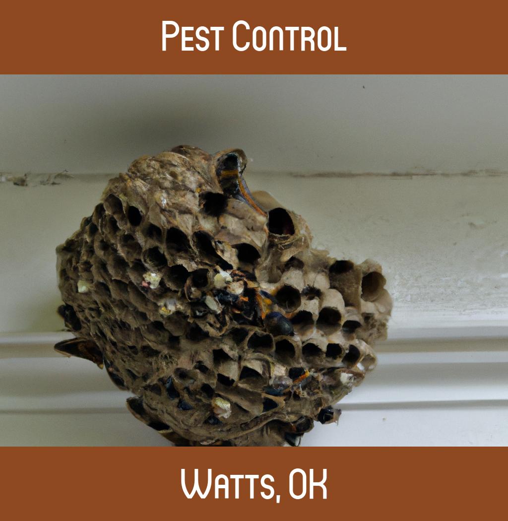 pest control in Watts Oklahoma
