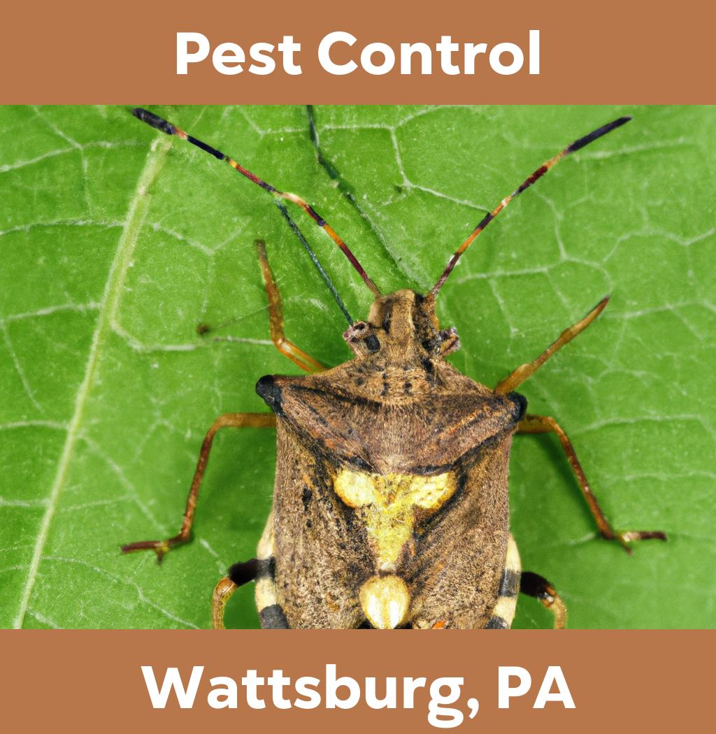 pest control in Wattsburg Pennsylvania