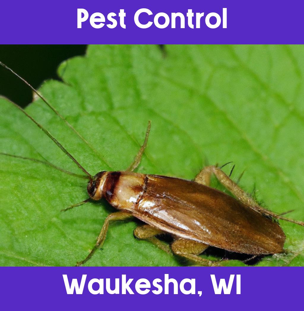 pest control in Waukesha Wisconsin