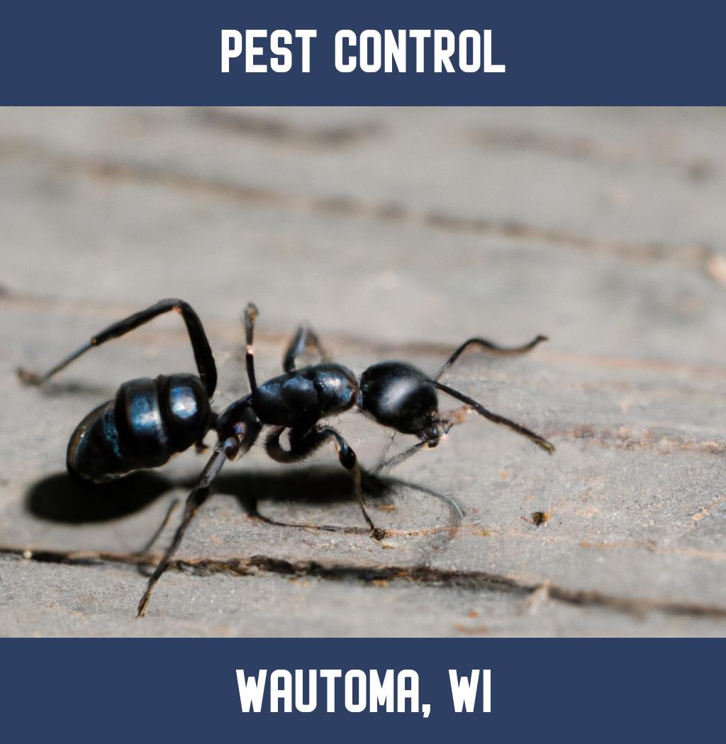 pest control in Wautoma Wisconsin