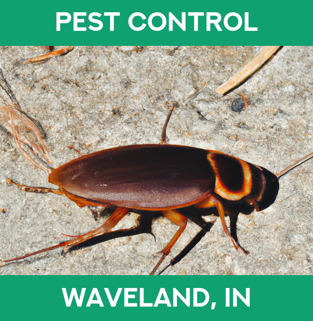 pest control in Waveland Indiana