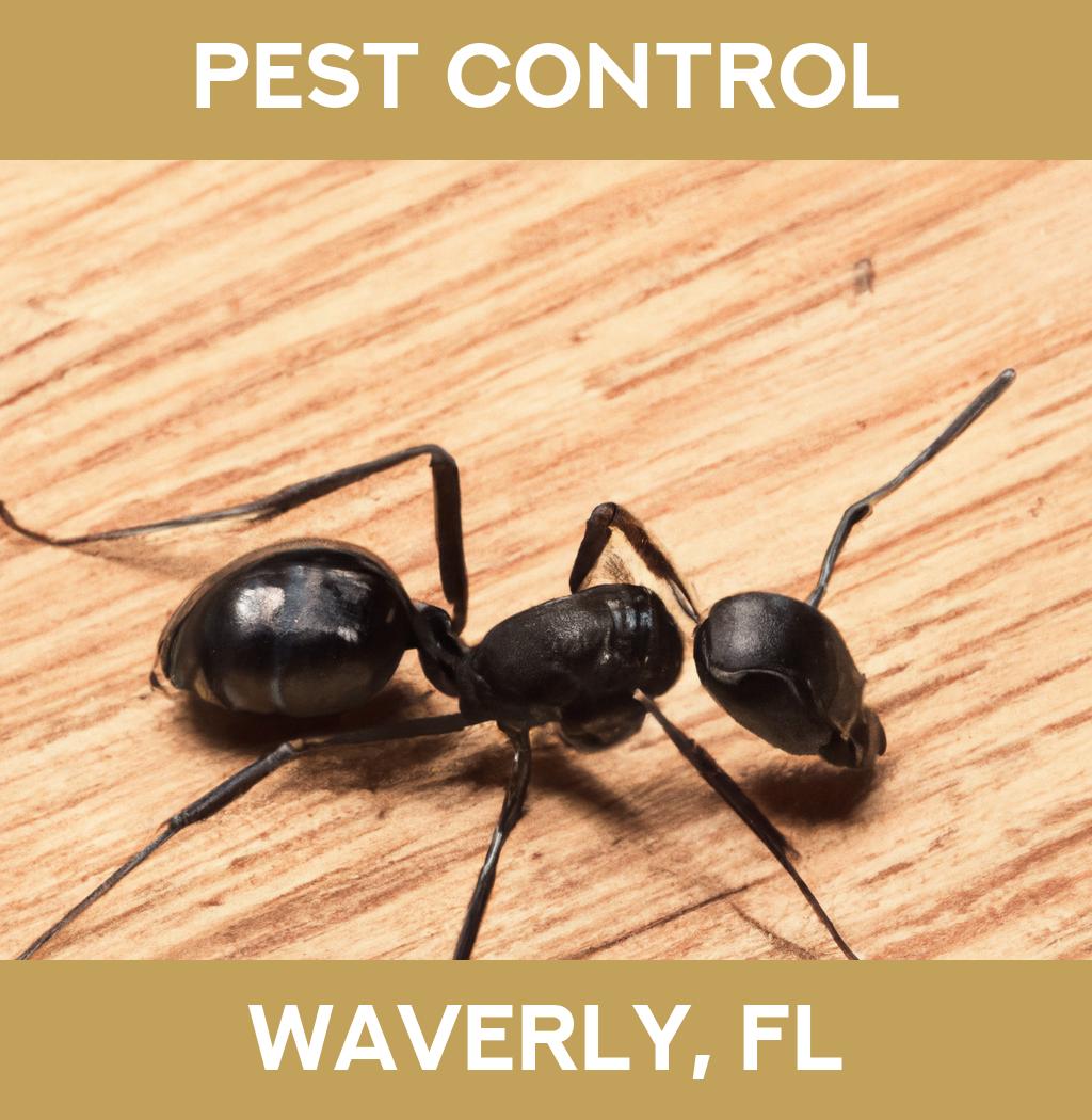 pest control in Waverly Florida