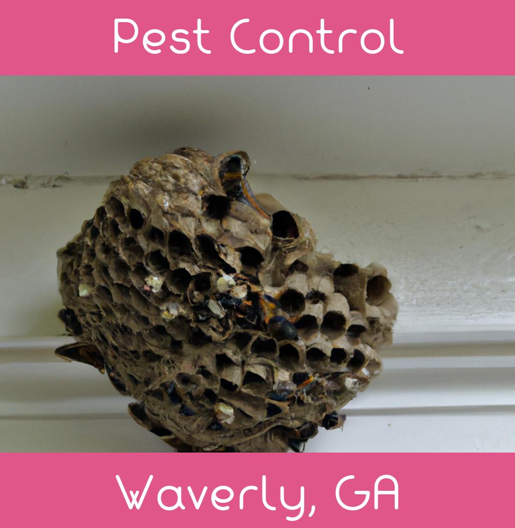 pest control in Waverly Georgia