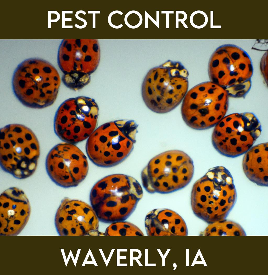pest control in Waverly Iowa