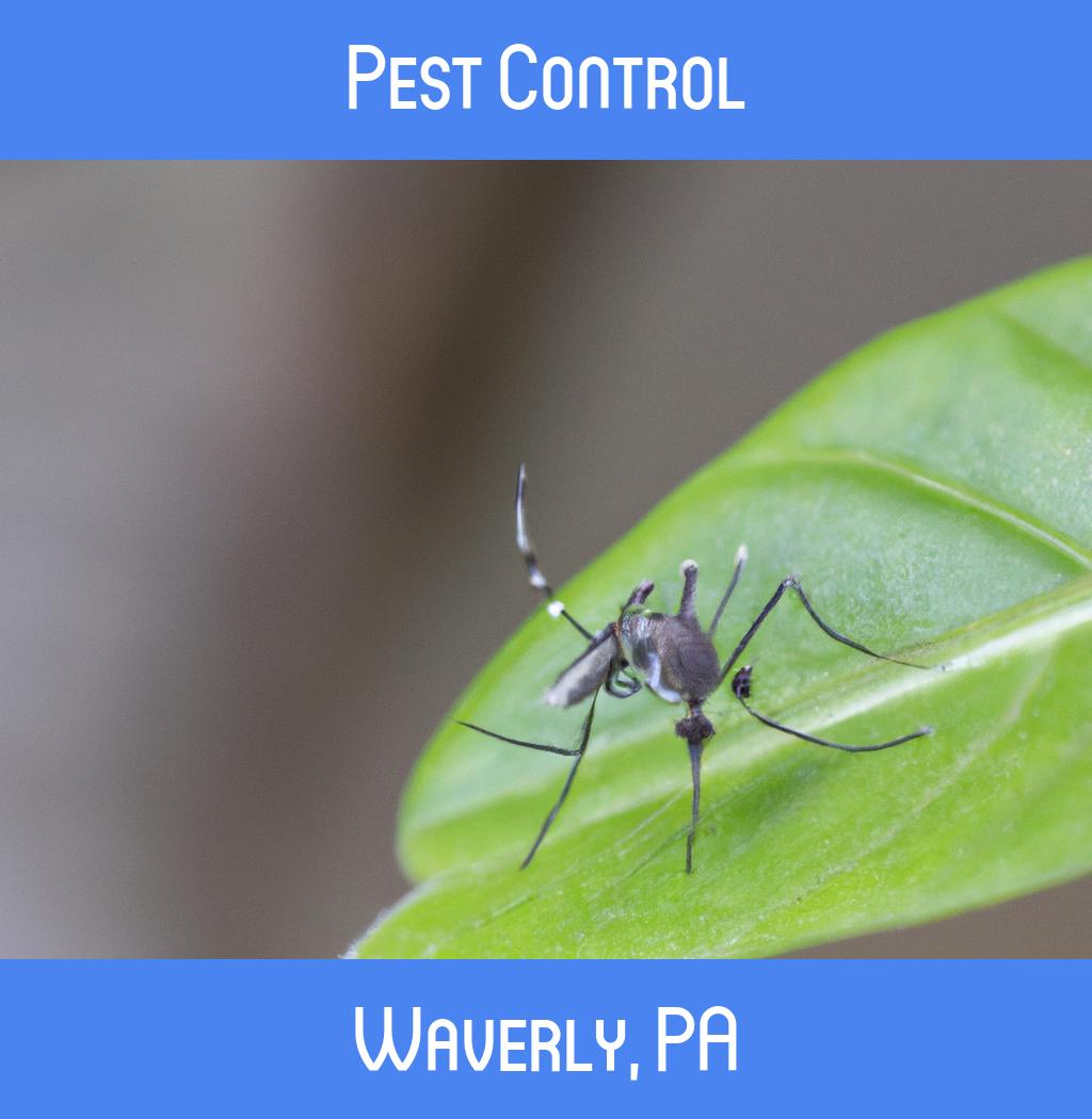 pest control in Waverly Pennsylvania