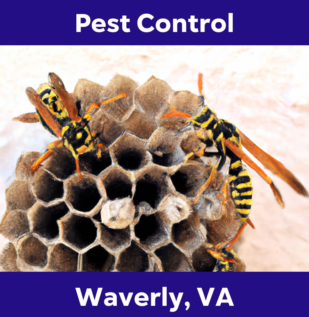 pest control in Waverly Virginia