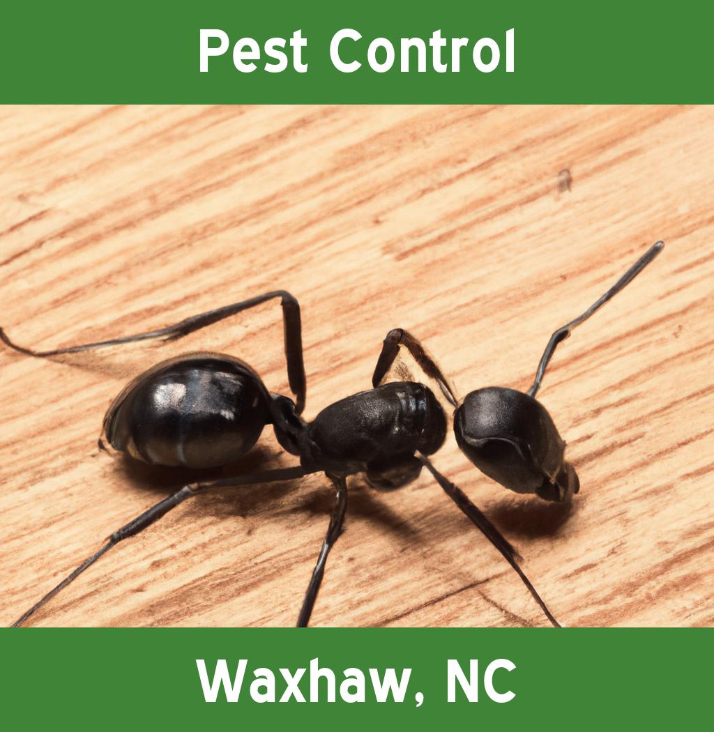 pest control in Waxhaw North Carolina