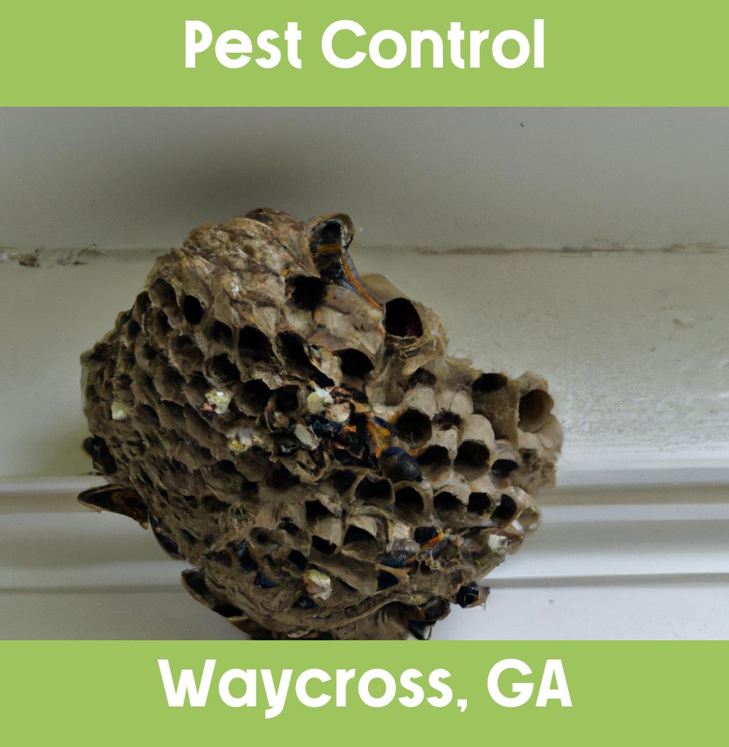 pest control in Waycross Georgia