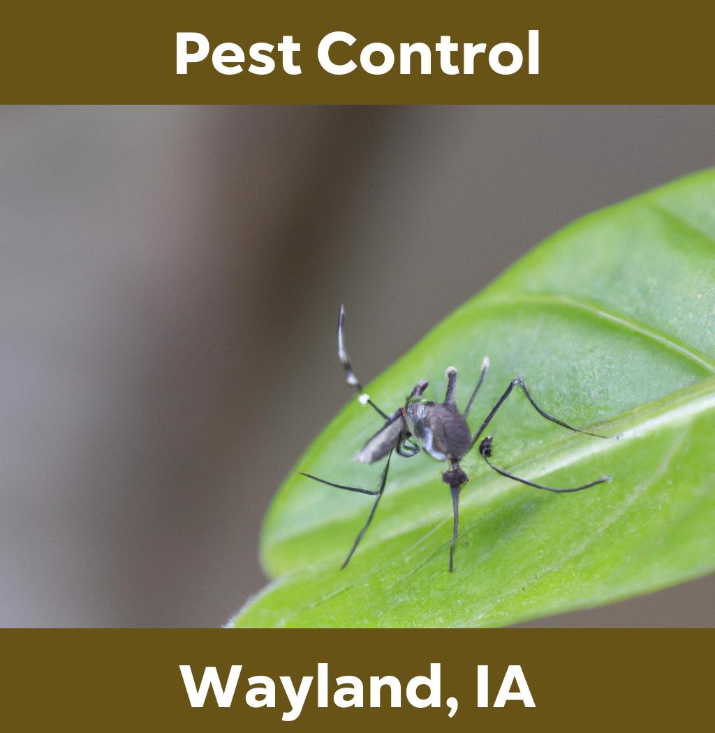pest control in Wayland Iowa