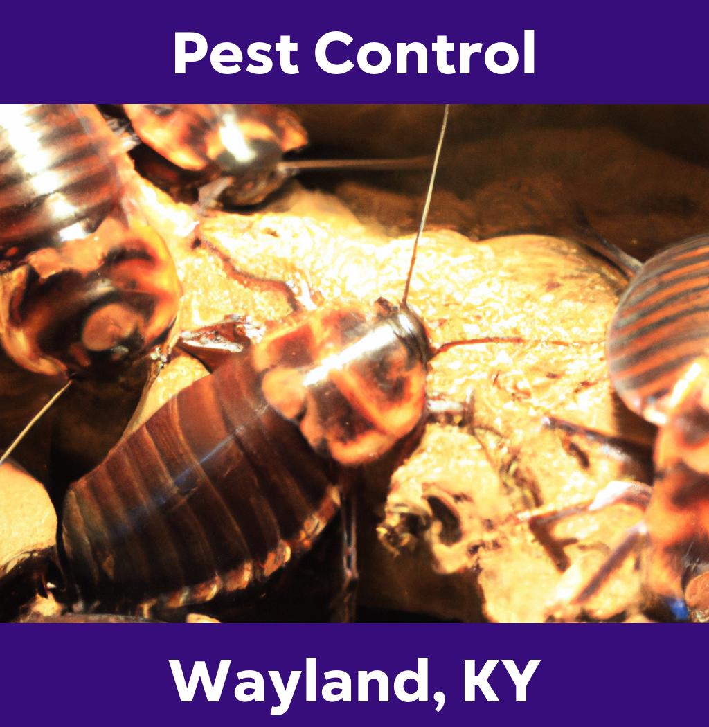 pest control in Wayland Kentucky