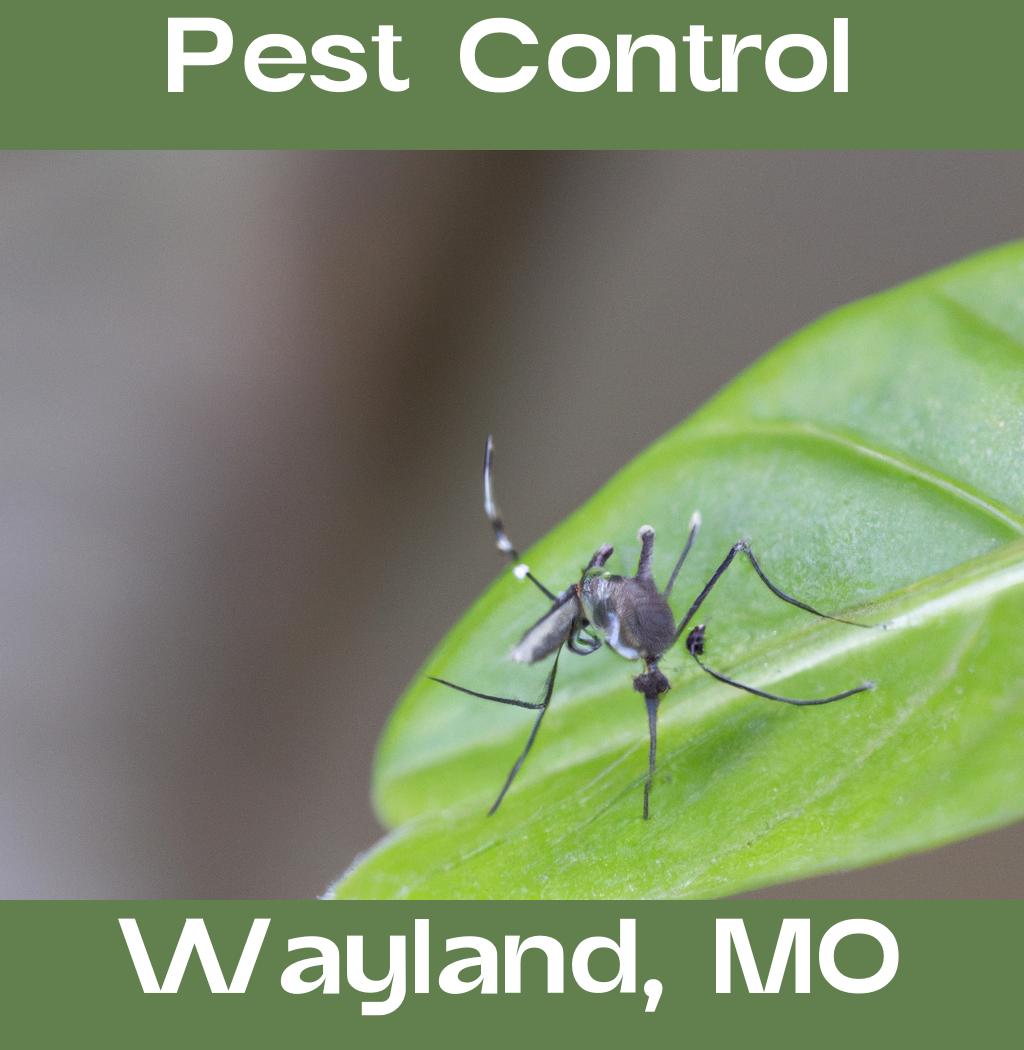 pest control in Wayland Missouri