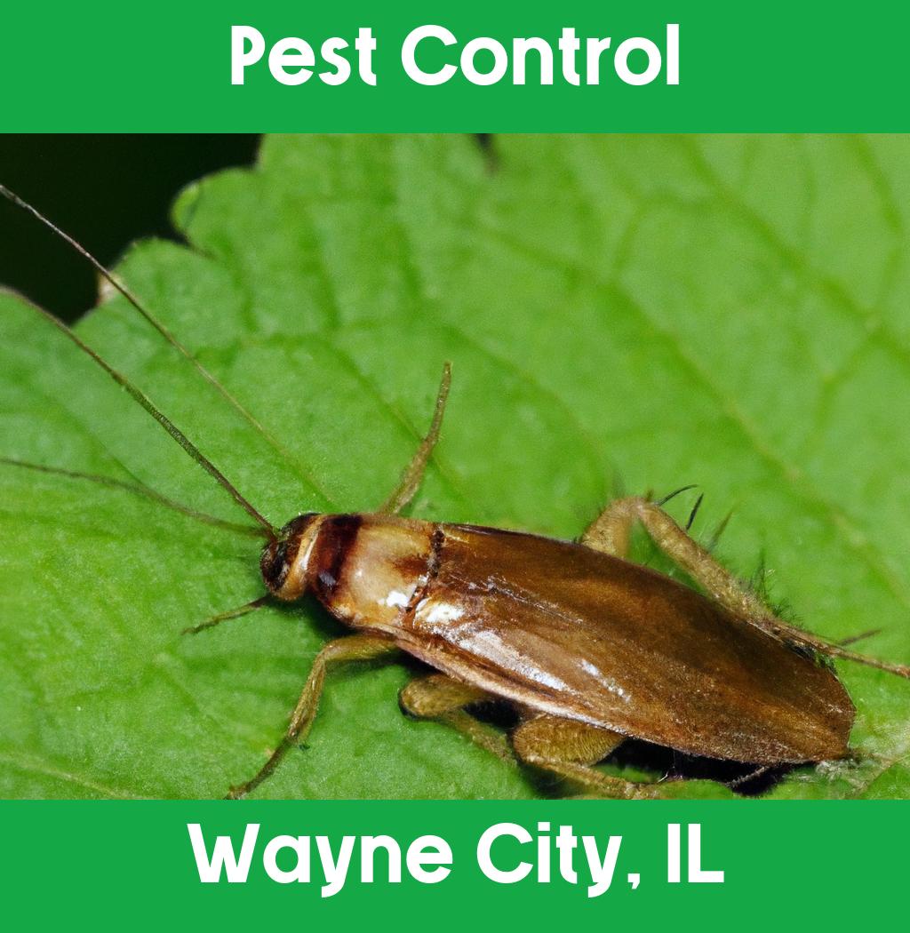 pest control in Wayne City Illinois