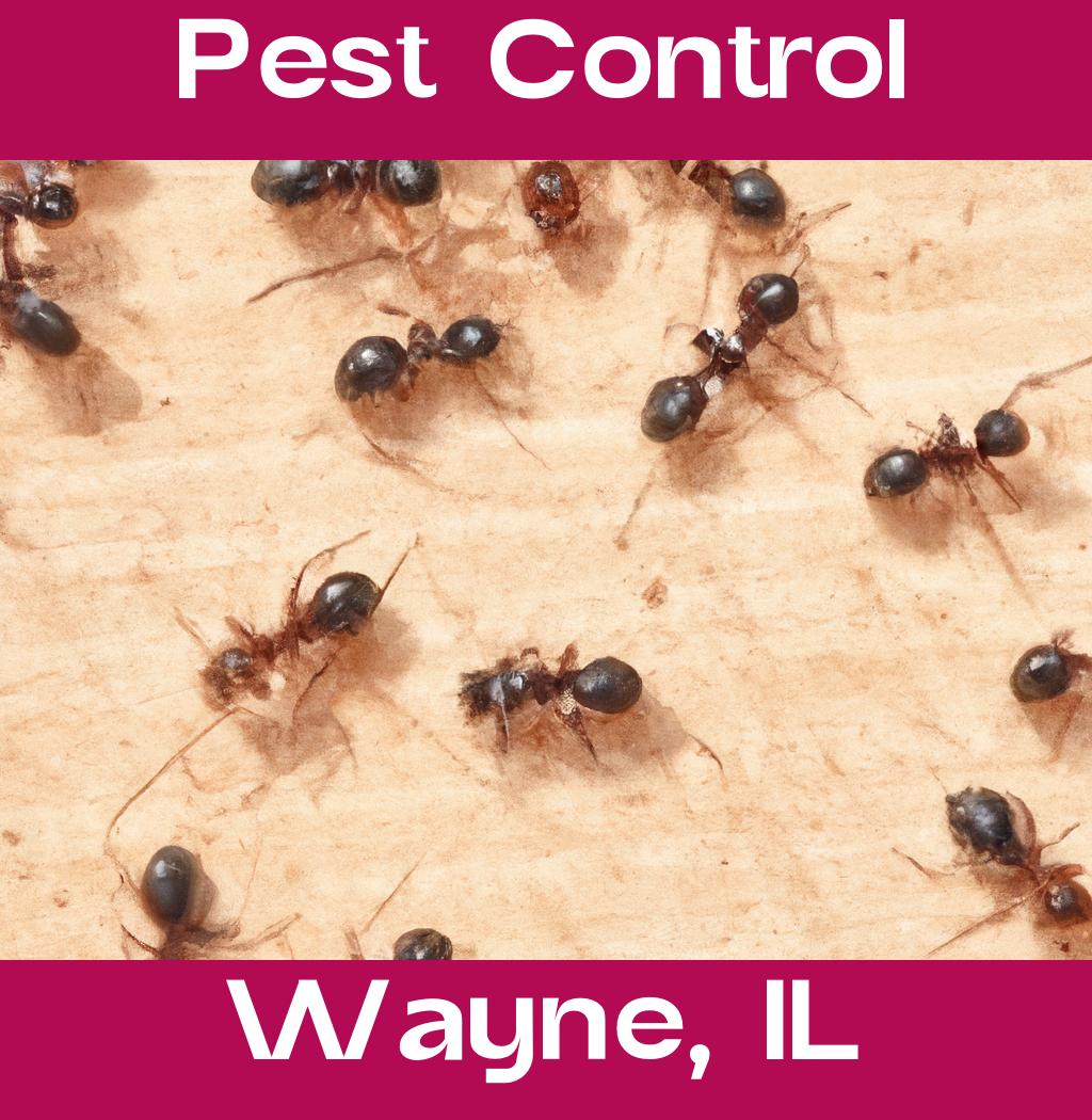 pest control in Wayne Illinois