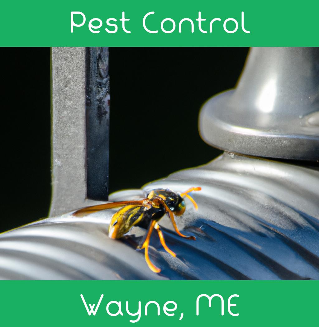 pest control in Wayne Maine