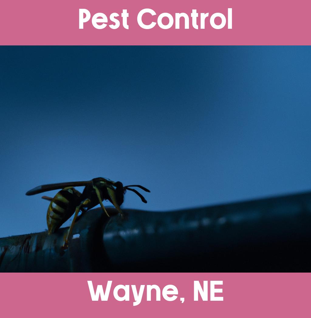 pest control in Wayne Nebraska