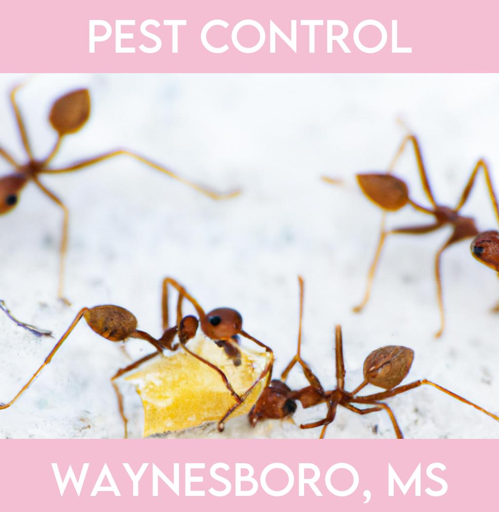 pest control in Waynesboro Mississippi