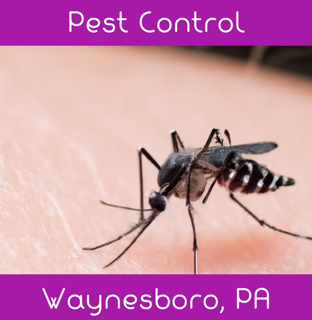 pest control in Waynesboro Pennsylvania