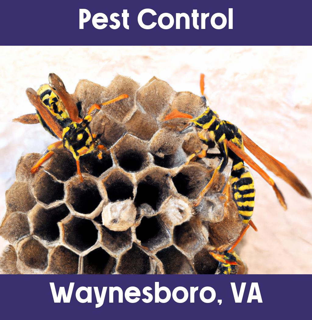 pest control in Waynesboro Virginia
