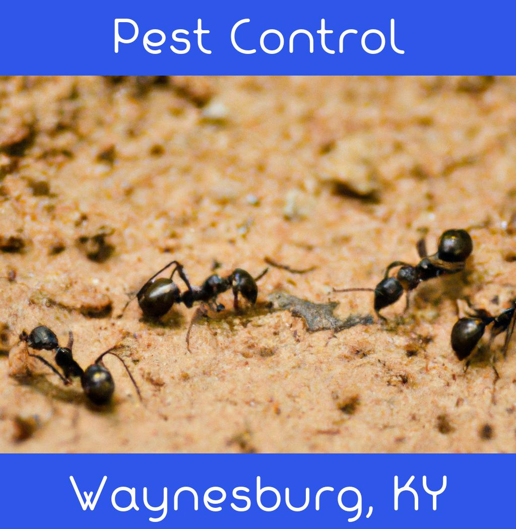 pest control in Waynesburg Kentucky