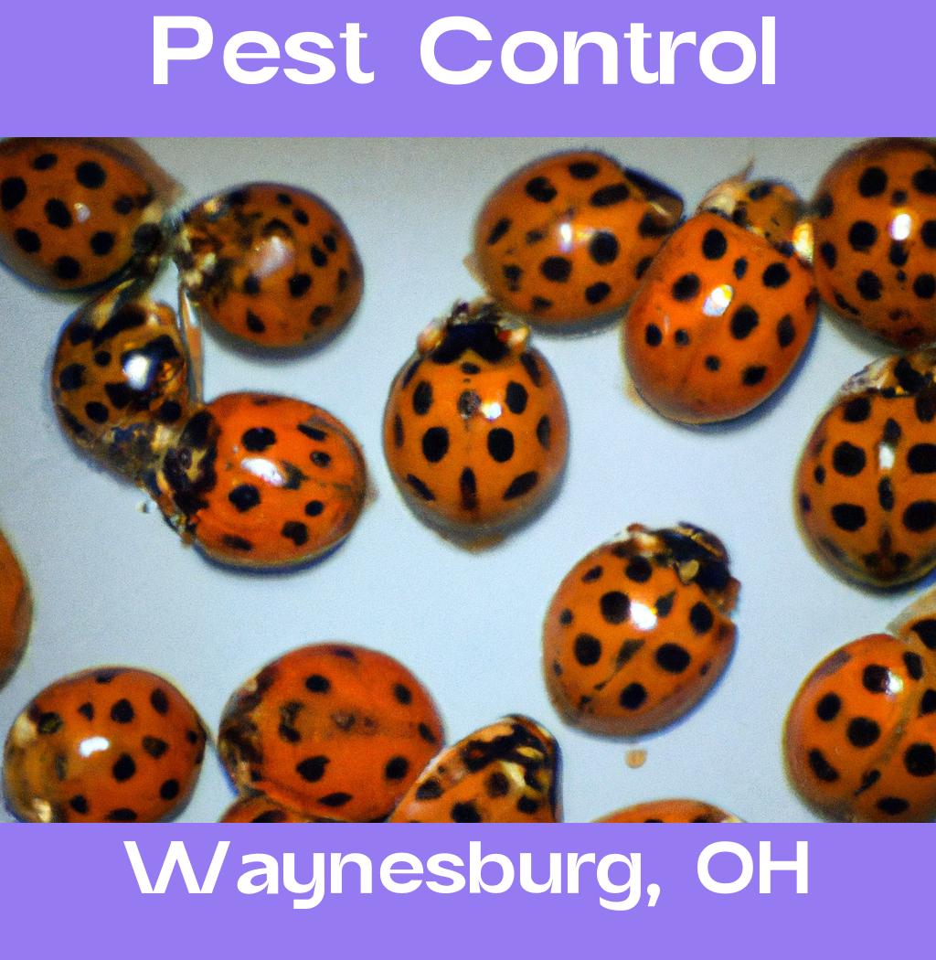 pest control in Waynesburg Ohio