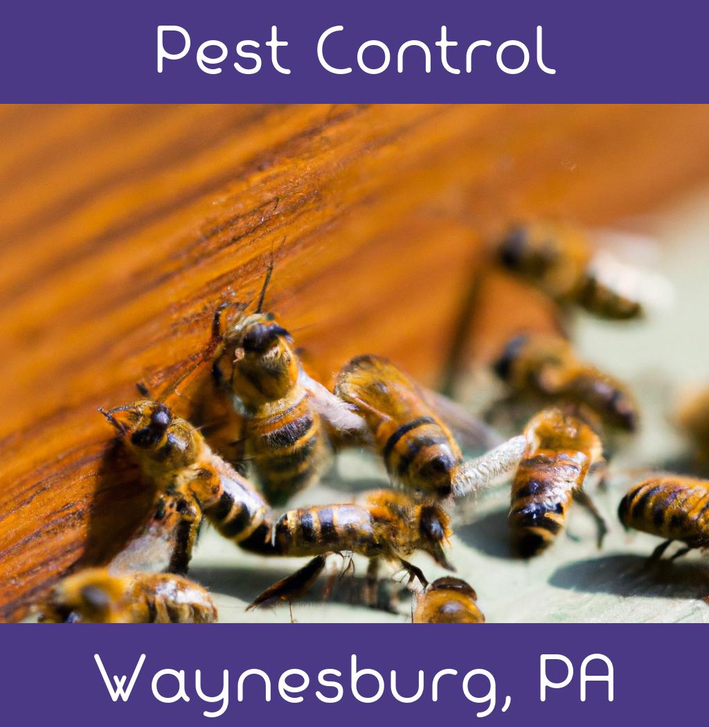 pest control in Waynesburg Pennsylvania