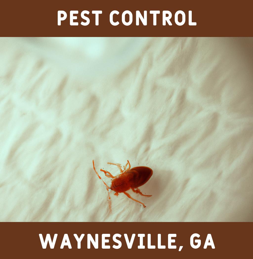 pest control in Waynesville Georgia