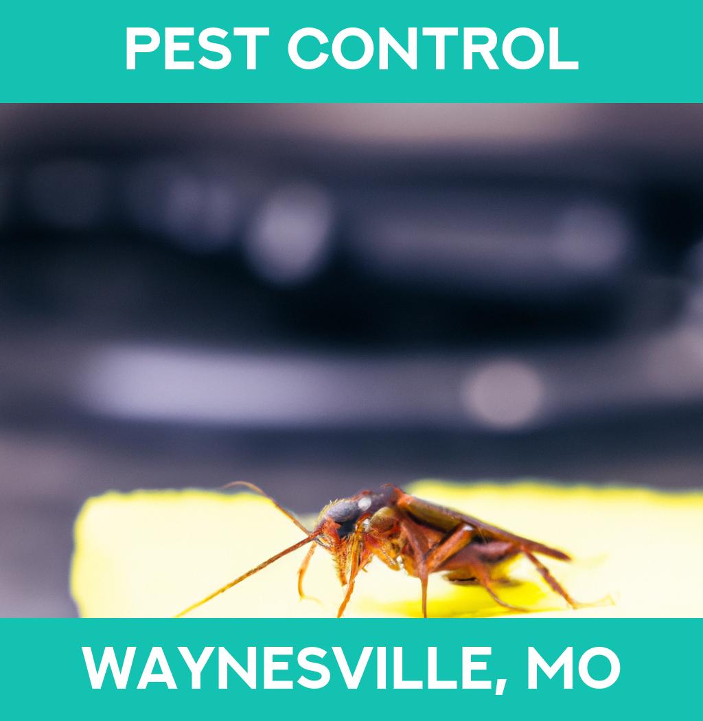 pest control in Waynesville Missouri