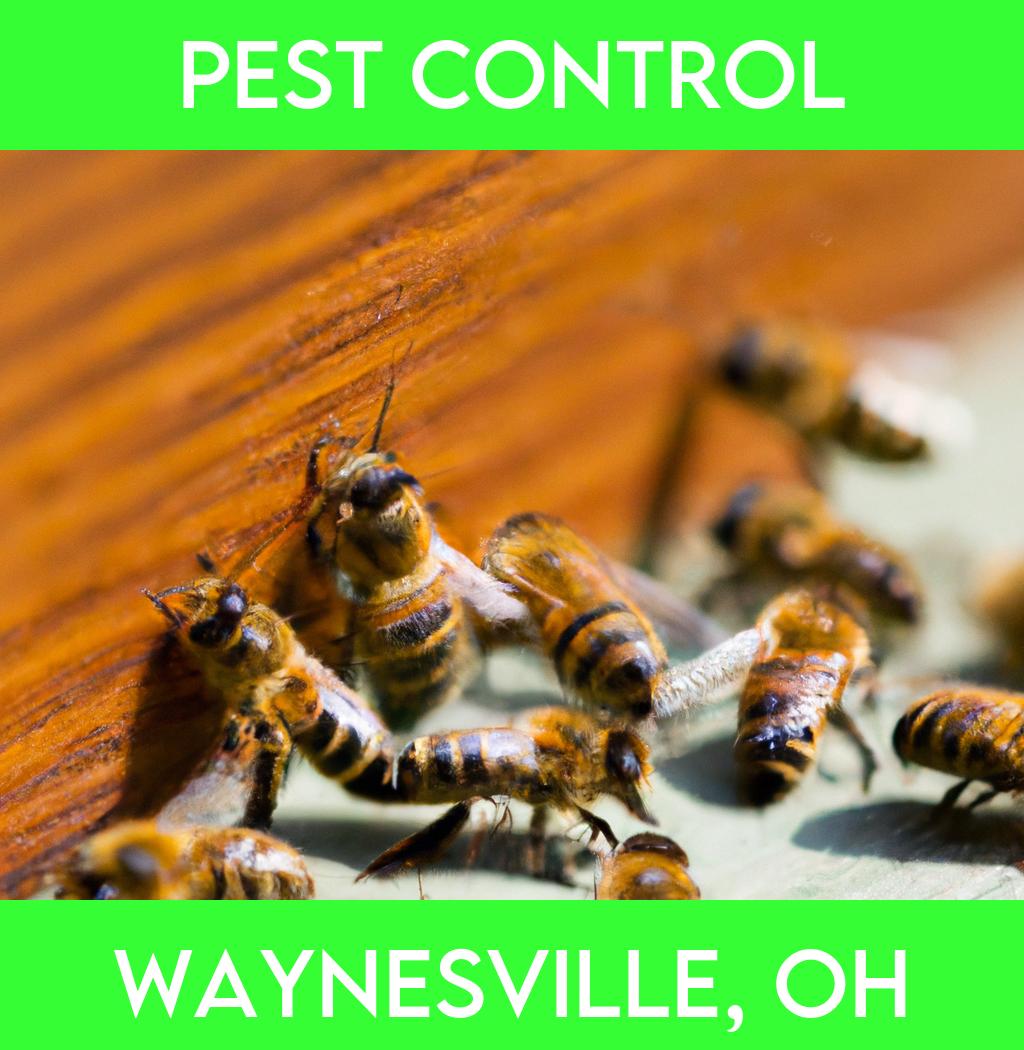 pest control in Waynesville Ohio