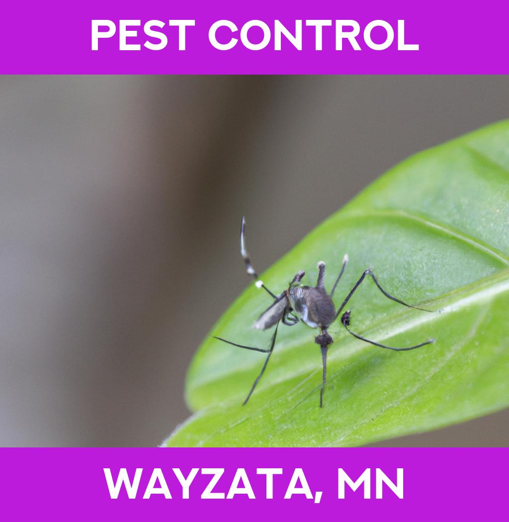 pest control in Wayzata Minnesota