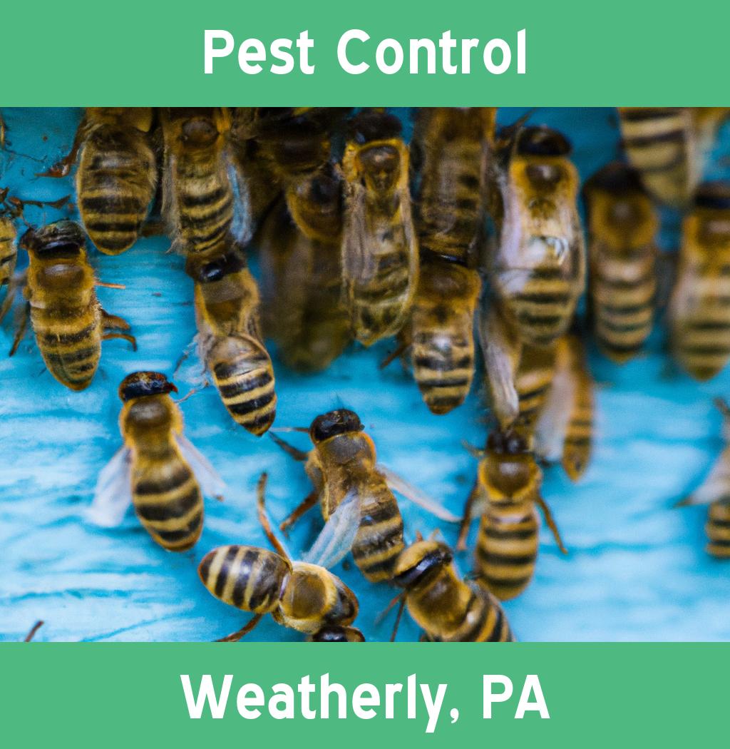 pest control in Weatherly Pennsylvania