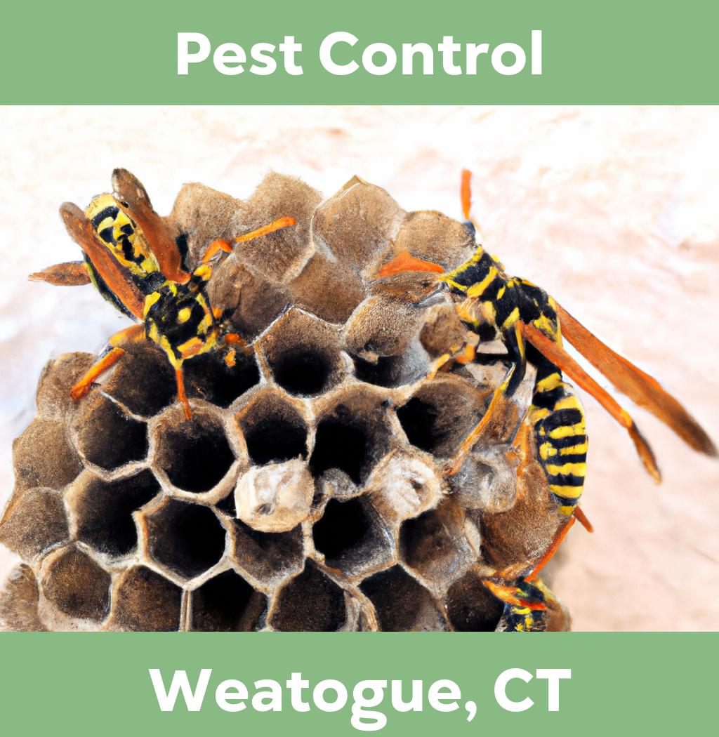 pest control in Weatogue Connecticut