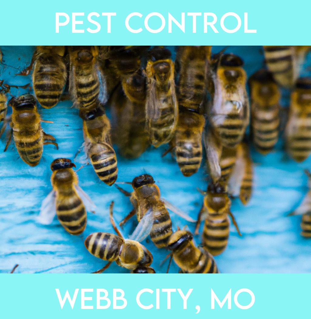 pest control in Webb City Missouri