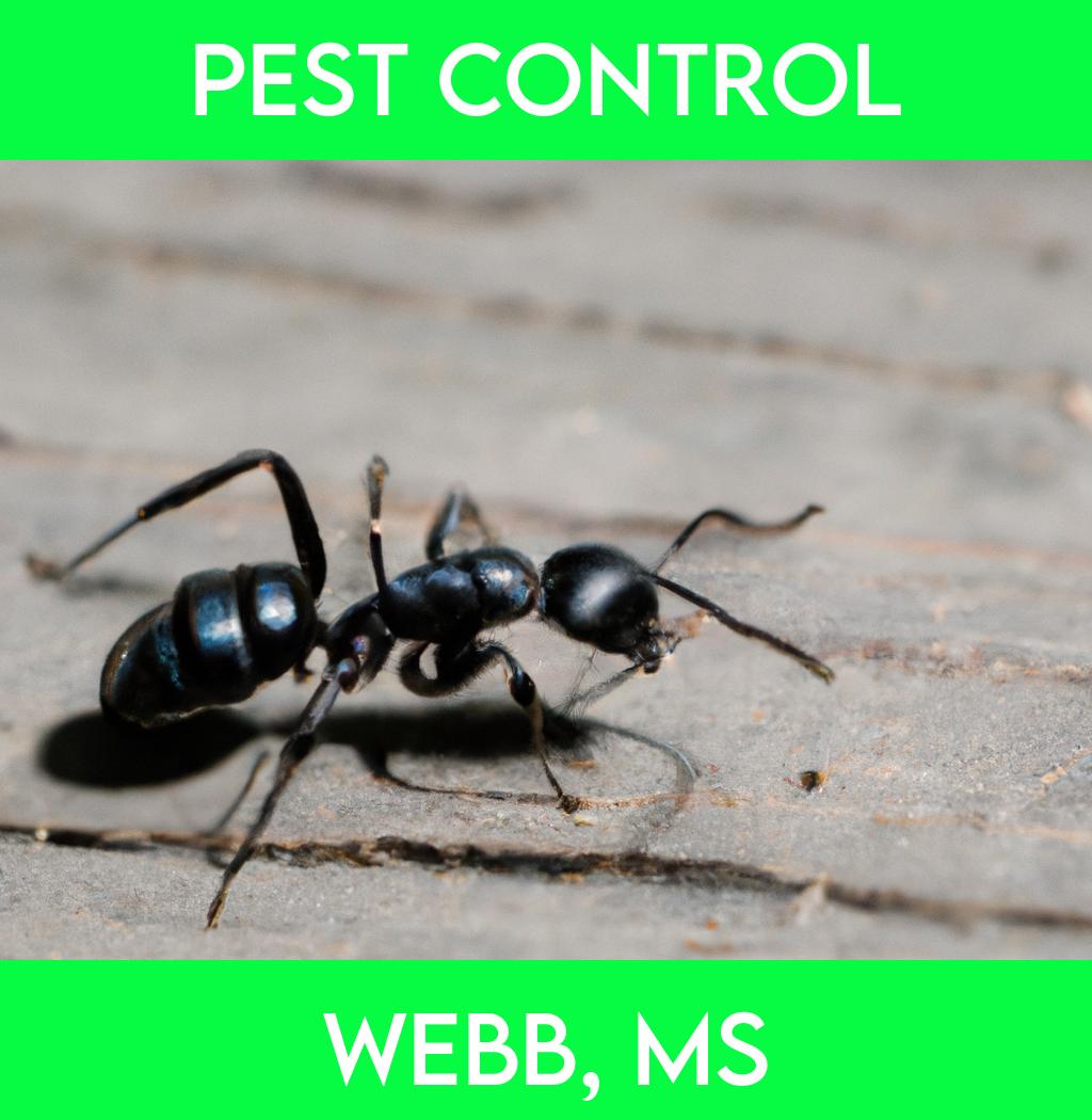 pest control in Webb Mississippi