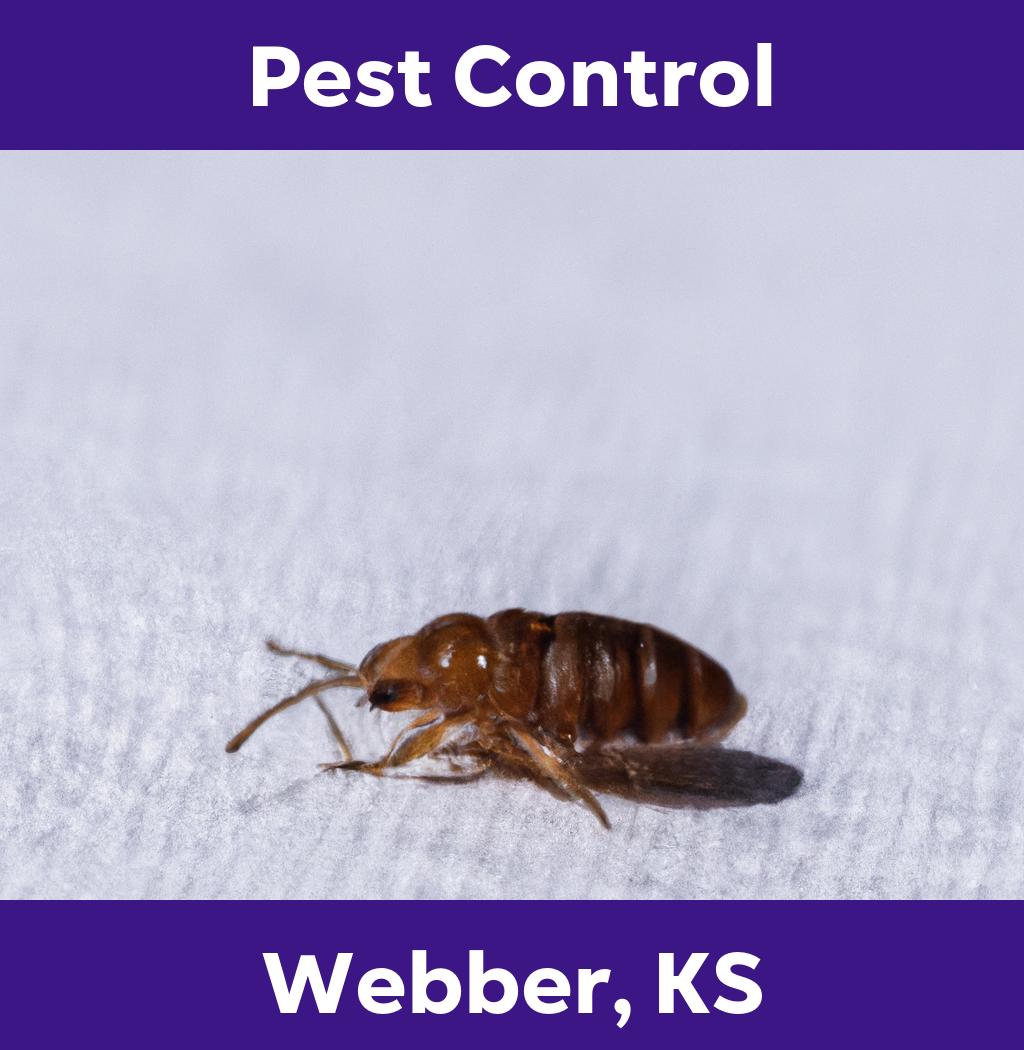 pest control in Webber Kansas