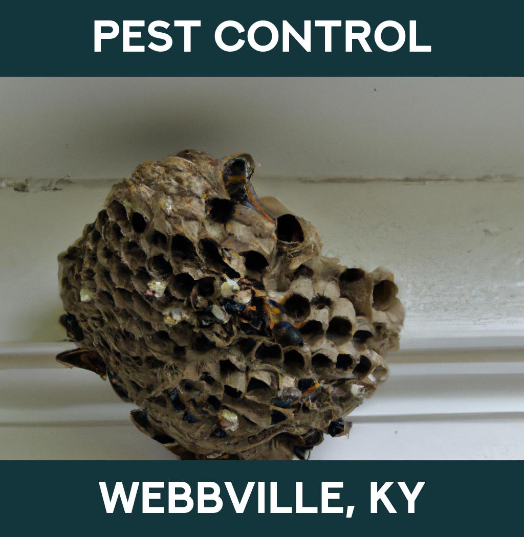 pest control in Webbville Kentucky